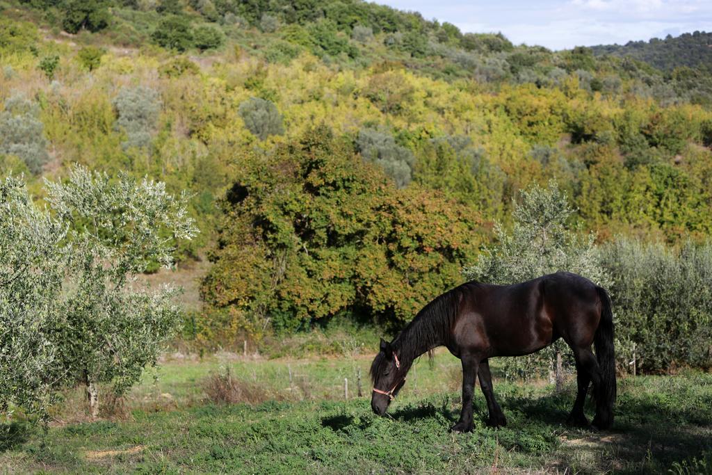 Tenuta Ponziani Wine Resort&Spa Morrano Dış mekan fotoğraf