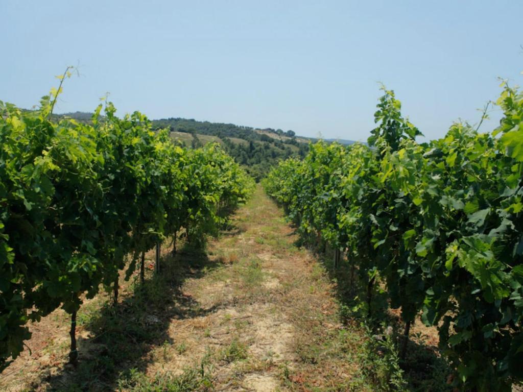 Tenuta Ponziani Wine Resort&Spa Morrano Dış mekan fotoğraf